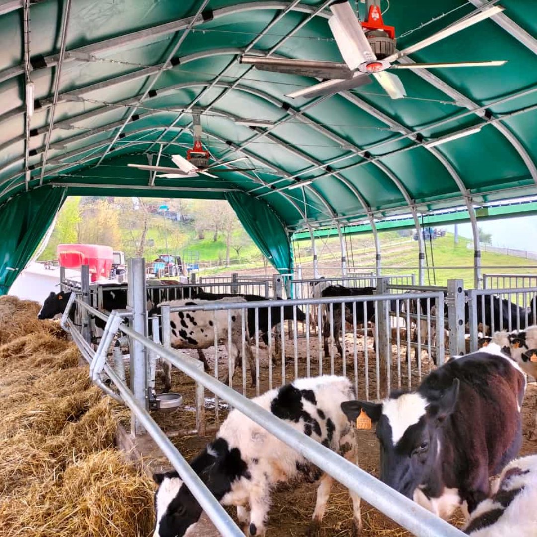 Realizare DUEA — tunel agricol montat