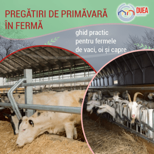 Pregătiri de primăvară în fermă: ghid practic pentru fermieri