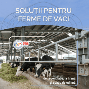 🐄 Ferme moderne pentru vaci