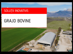 Grajd modern pentru bovine – simplu, eficient și deja testat