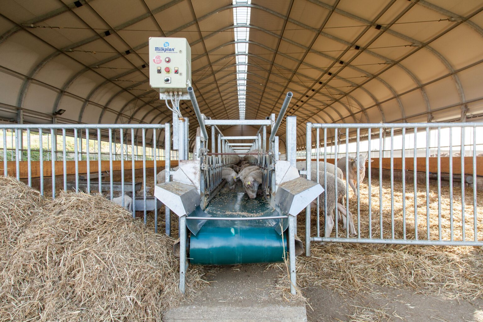 Sistem de alimentare automată – zootehnie modernă