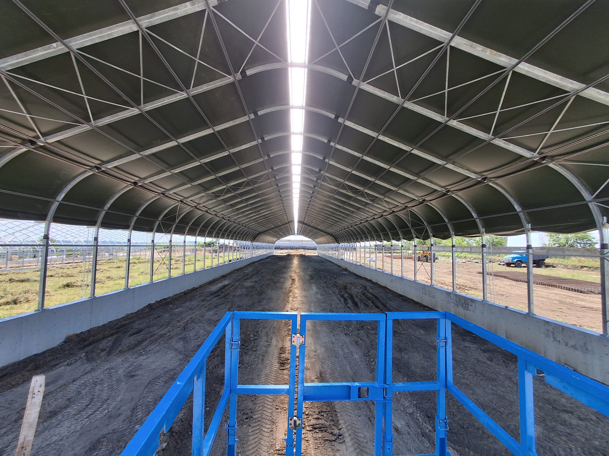 Padockuri cu iarbă și trifoi lângă structurile Smart Farm Tunel